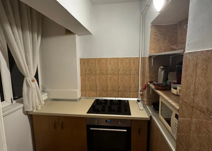 Enescu Flat Apartment *